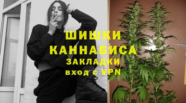 дмт Алзамай
