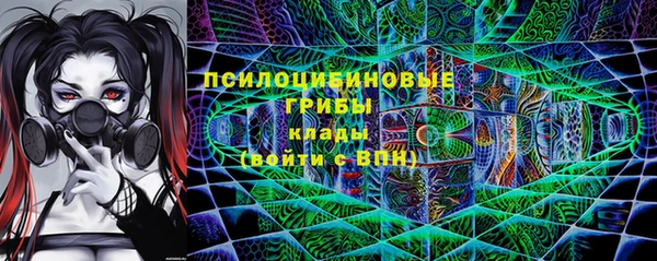 прущие крисы Абаза