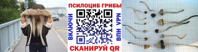 Псилоцибиновые грибы мухоморы как найти Черемхово