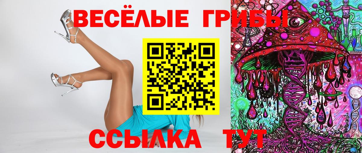 Галлюциногенные грибы Psilocybine cubensis Черемхово