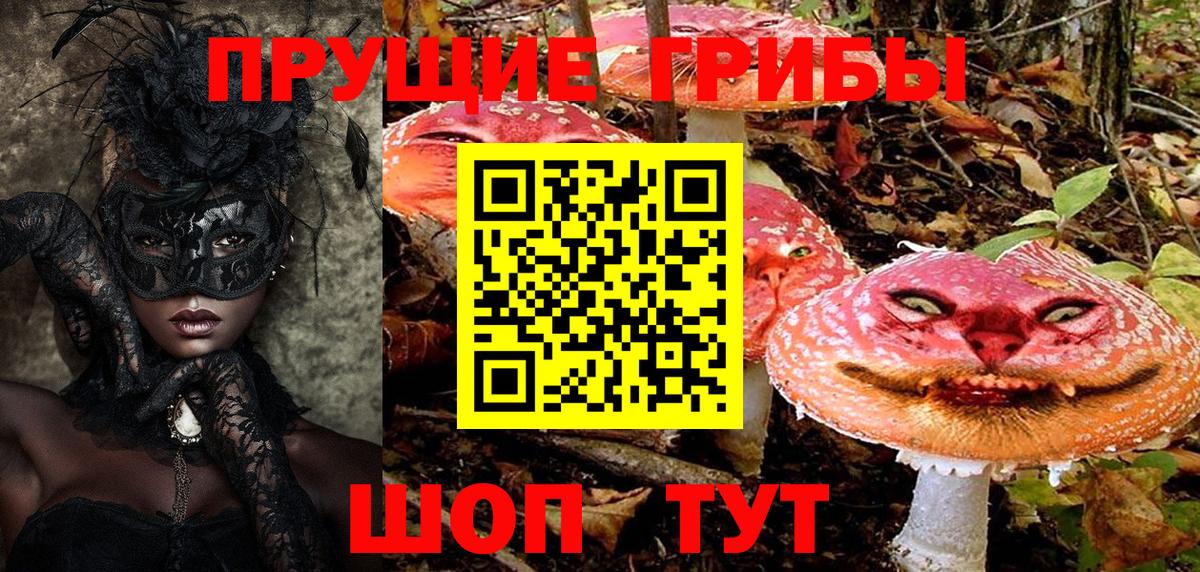 Черемхово  Псилоцибиновые грибы прущие грибы  Вход с VPN 